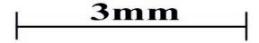 Scale 3mm