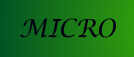 Micro